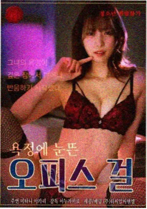 道具放置道具图鉴卷封面